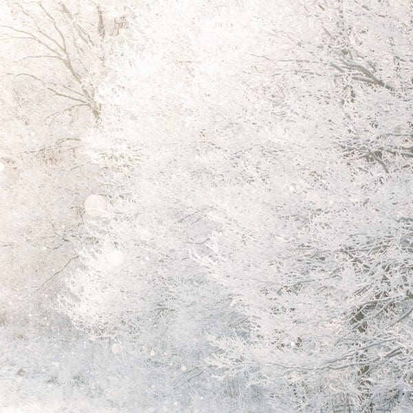 Vajrasattva Retreat Winter landscape 600 Vajrasattva Retreat Winter landscape 600